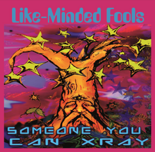Like-Minded Fools by Someone You Can Xray CD