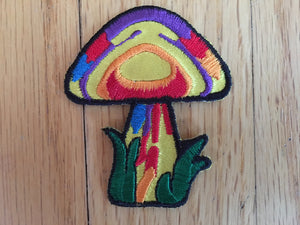 Mini Mushroom Patch
